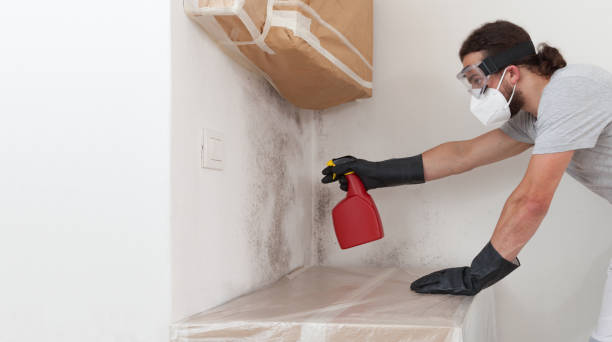 Professional Bathroom Mold Removal technician working in Maplewood, MN