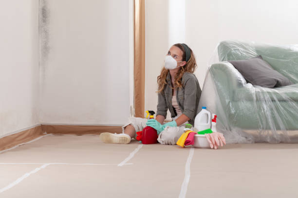 Reliable Bathroom Mold Removal contractor in Maplewood, MN by Mold Remediation HQ